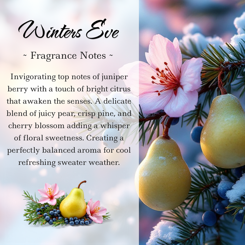Limited Edition: Winters Eve Crystal-Enhanced Premium Coconut-Soy Wax Melts